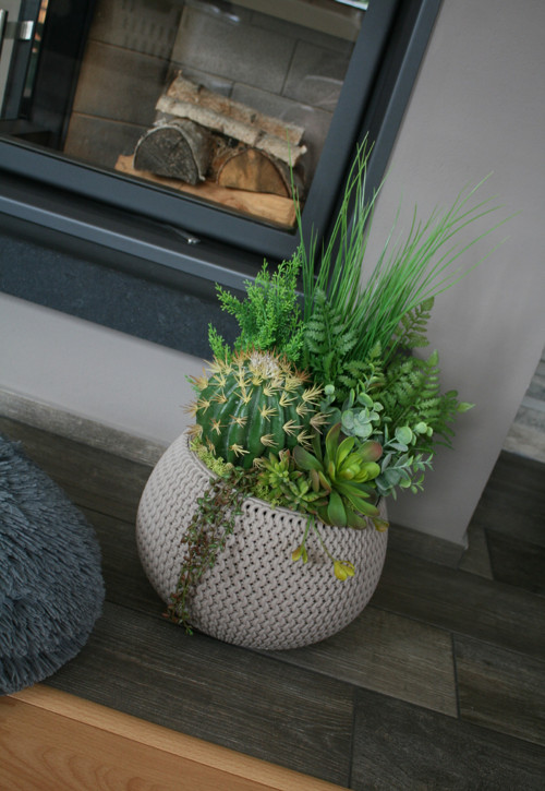 Velký pletený obal se sukulenty — foto 3