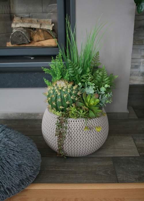 Velký pletený obal se sukulenty — foto 4