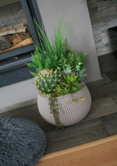 Velký pletený obal se sukulenty — foto 5