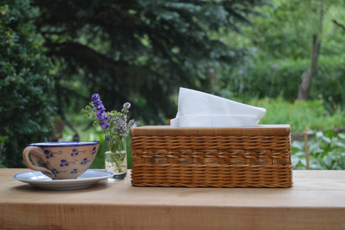 Kapesníkovník pinie — foto 3