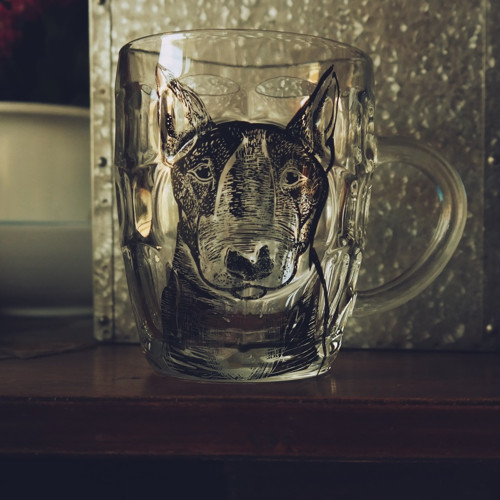 Bernard Bulíčkem.. půllitr NA PIVÍČKO — foto 6