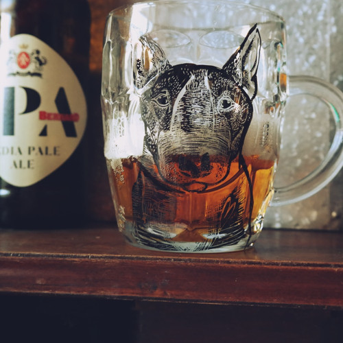 Bernard Bulíčkem.. půllitr NA PIVÍČKO — foto 4