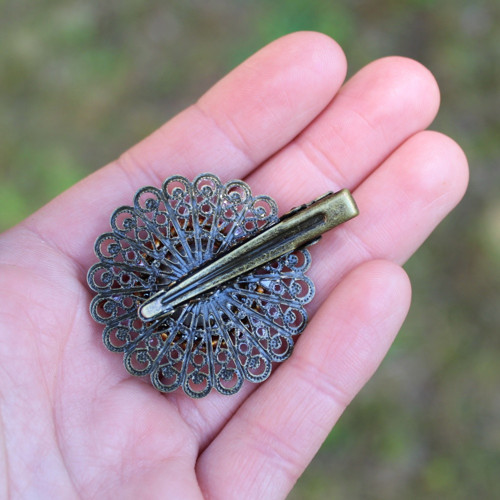 Velká hnědá pinetka — foto 6
