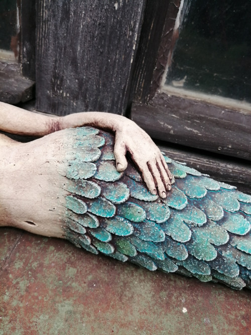 Mořská panna — foto 6