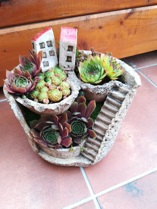Mini zahrádka — foto 3