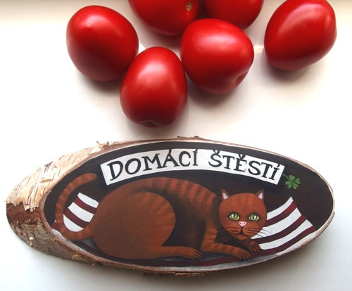 Domácí štěstí — foto 2