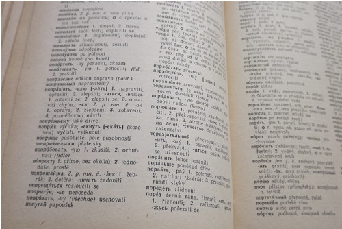 Příruční rusko český slovník — foto 5