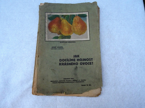 Krásné ovoce — foto 2