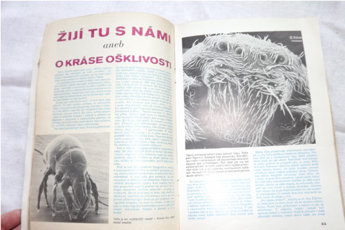 T 80 - Marťan na zemi? NE! — foto 2