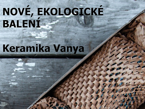 Zápich velký rýmovník — foto 6