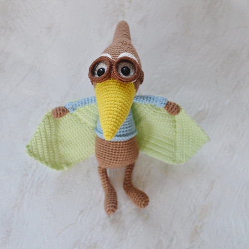 Pterodaktyl letec — foto 2