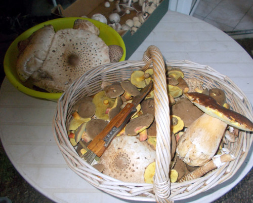 Houby v octě - směs, 250 gramů — foto 3