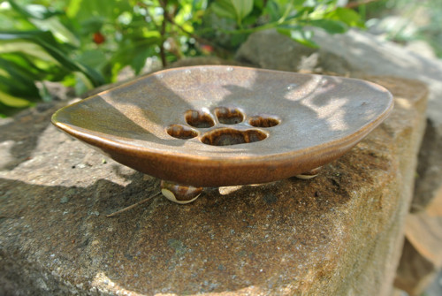 MÝDLENKA tlapka — foto 2