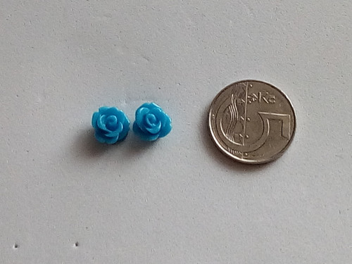 Růžička modrá — foto 3