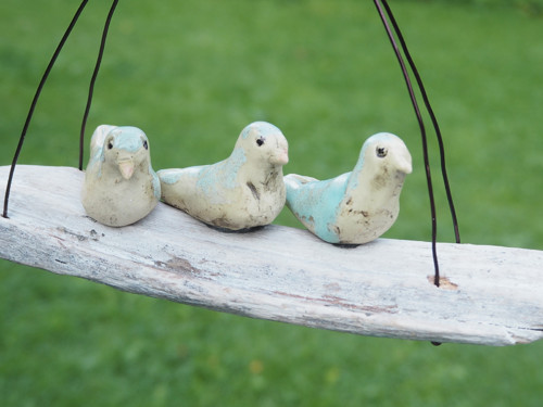 Driftwood a ptáčkové — foto 4