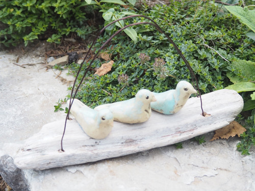 Driftwood a ptáčkové — foto 2
