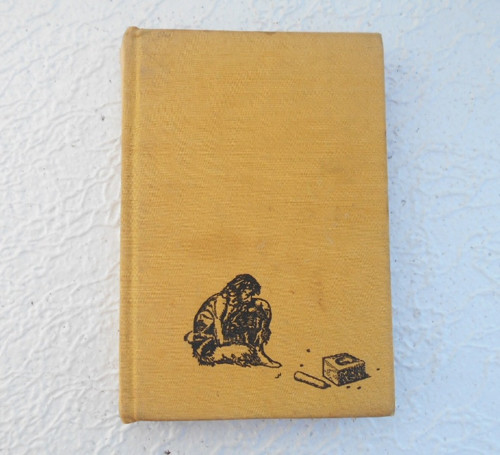 Robinson Crusoe — foto 3