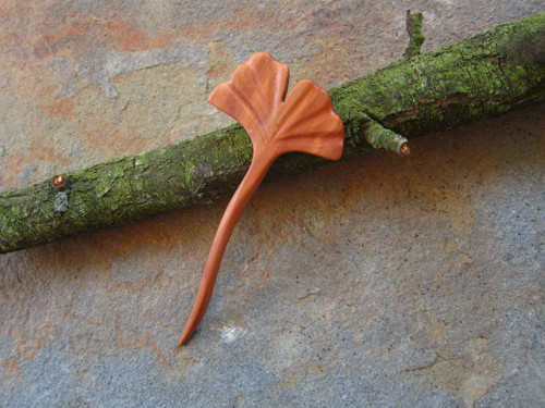 Pohlazení pro vlasy - ginkgo — foto 4