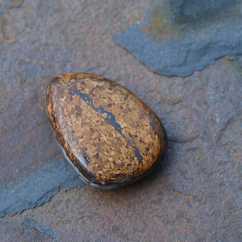Bronzit — foto 2