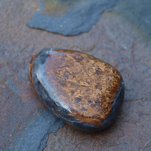 Bronzit — foto 3