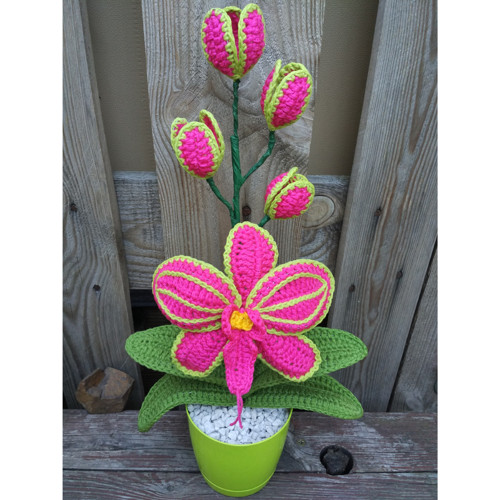 Orchidej - Růžový květ — foto 6