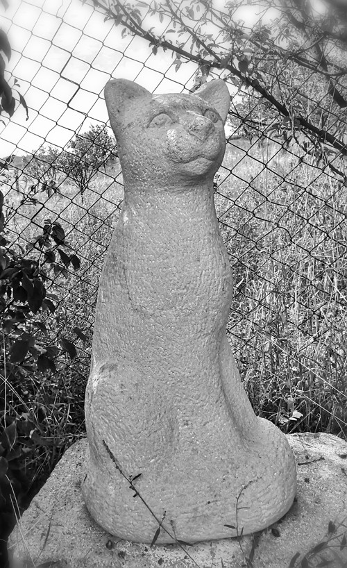 Kocourek Matýsek — foto 3