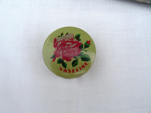 Růře růžová - Vaseline — foto 2