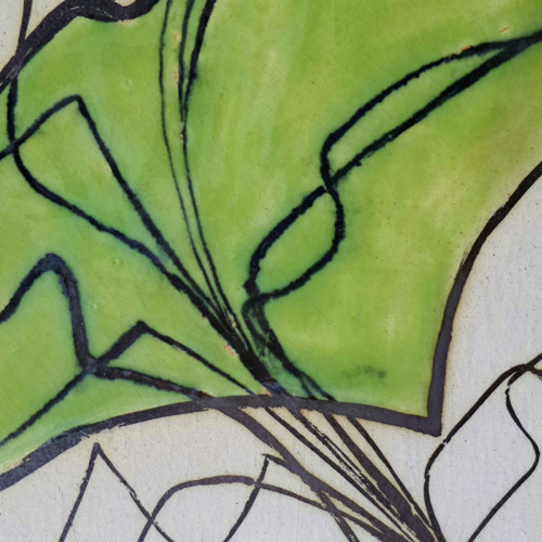 Poinsettia — foto 5