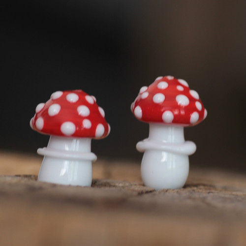 Dvě vinutky muchomůrky — foto 3