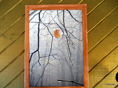 Poslední lístek — foto 2