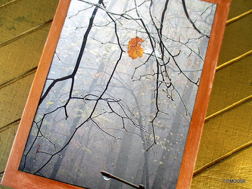 Poslední lístek — foto 3