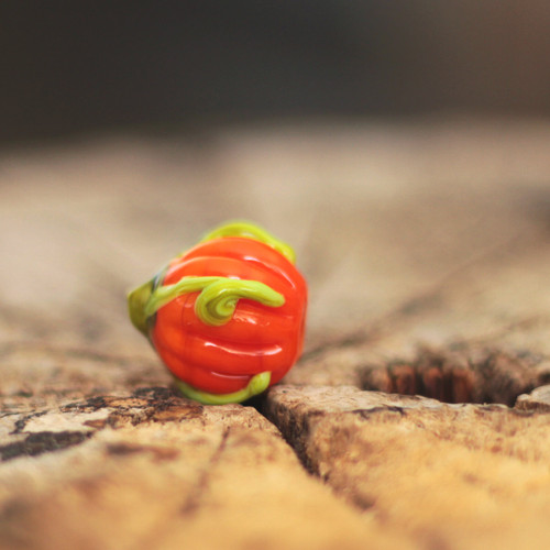 Vinutka dýně - průvlek 2 mm — foto 3