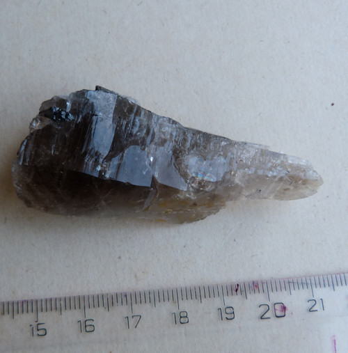 Záhněda ČR - 6,5 cm — foto 2
