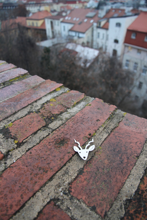 Brož antilopa — foto 2
