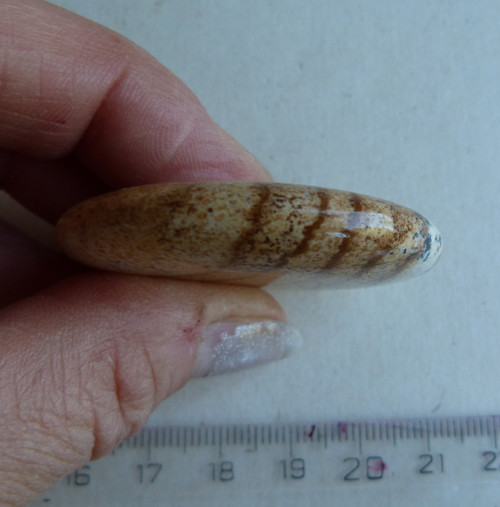 Jaspis obrázkový - 4,5 cm - Extra — foto 5