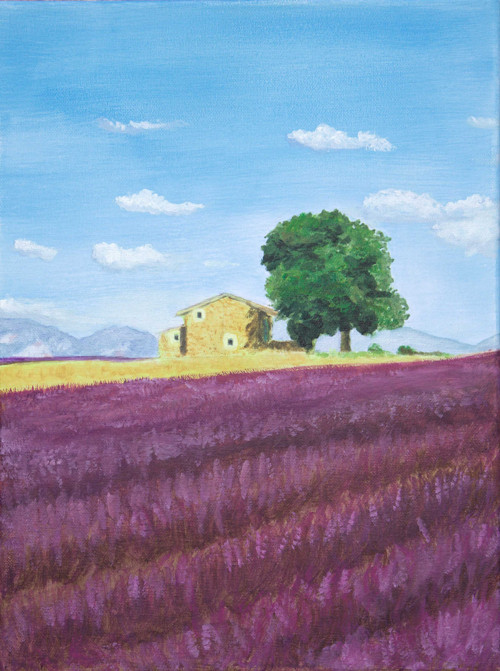 Léto v Provence (40*30) — foto 3