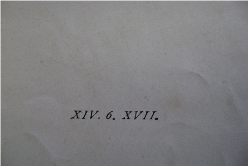 Velká grafika — foto 5