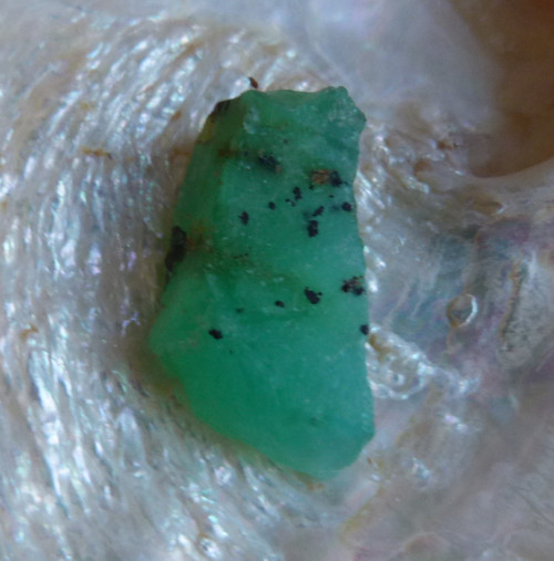 Zelený opál (chryzopál) - 2,8 cm - Extra ! — foto 6