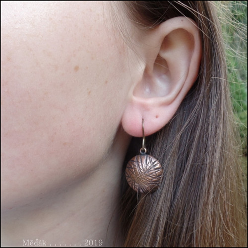Trilobitky... — foto 2