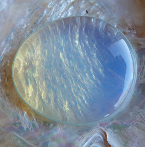 Opalit - 3,8 cm — foto 5