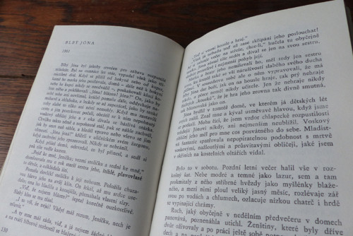 Obrazy ze života, Jan Neruda — foto 4