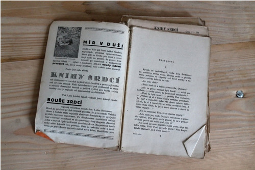 Bouře srdcí Lola Steinová 1935 — foto 6