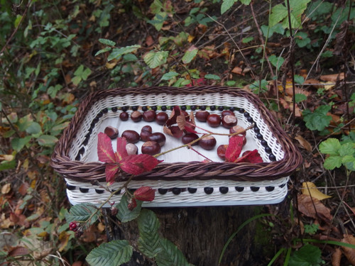 Košík z tmavě hnědými korálky — foto 2