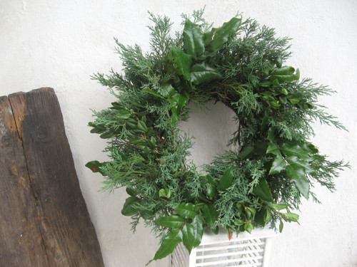 Jalovec, buxus, mahon..... — foto 3