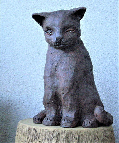 Dvě kočičky kamarádky — foto 2