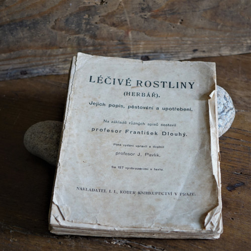 Léčivé rostliny - herbář — foto 2
