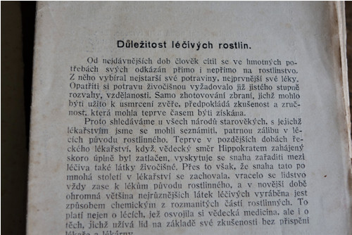 Léčivé rostliny - herbář — foto 4