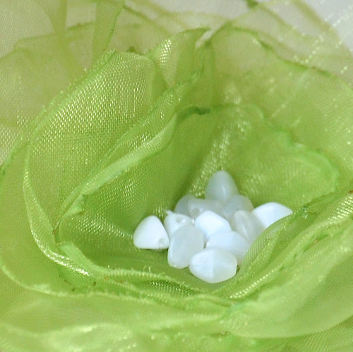 Šťavnatá.... (spona nebo brož) — foto 2