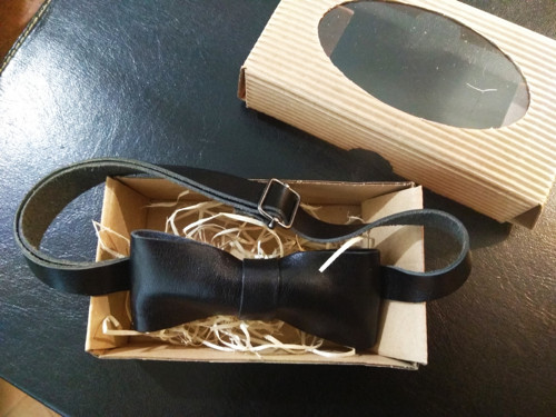 Kožený motýlek — foto 2