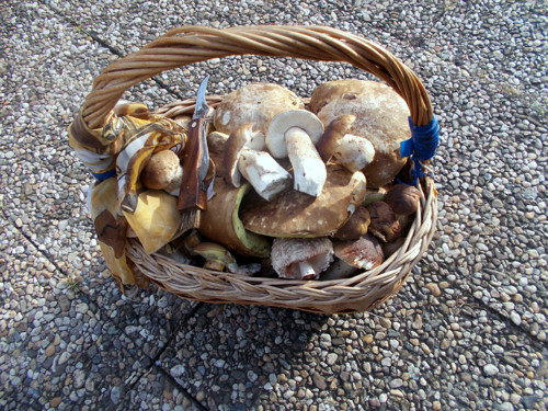 Klouzek kravský v octě, 260 gramů — foto 2